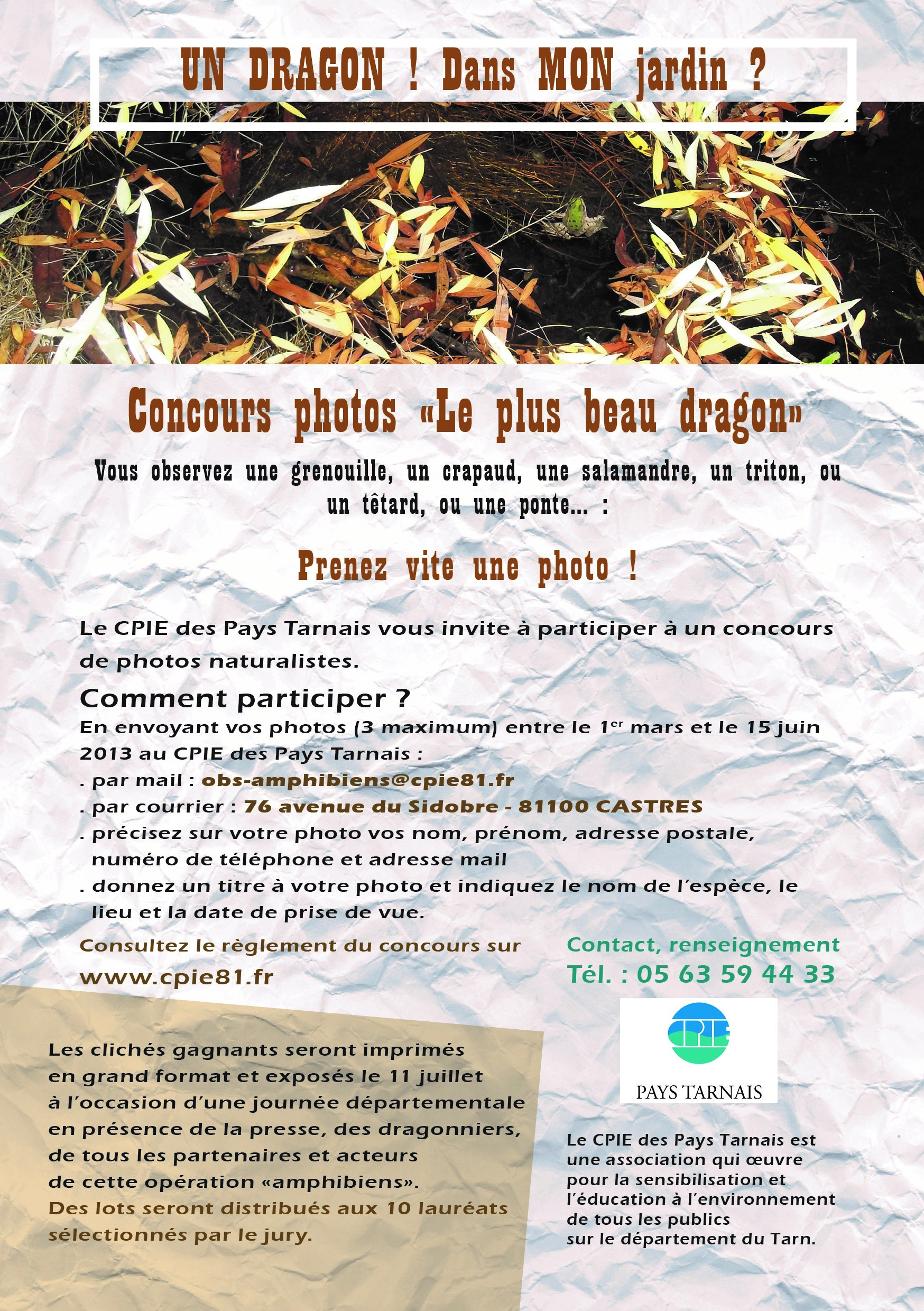 Concours photos