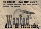 un dragon dans mon jardin
