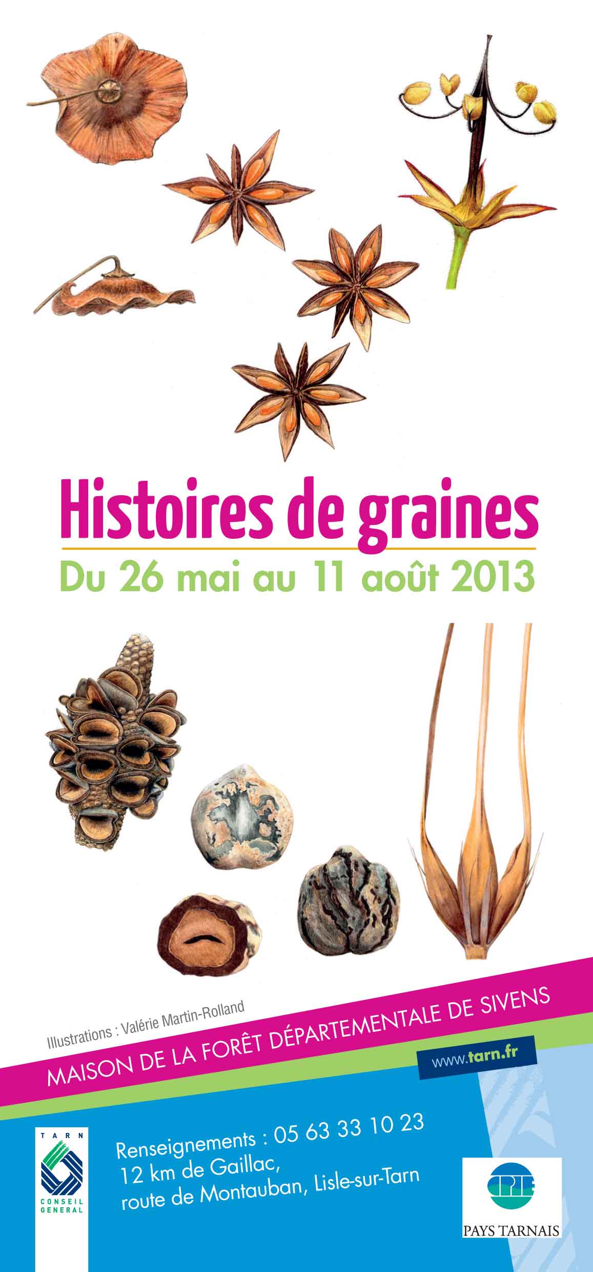 Affiche Histoires de graines