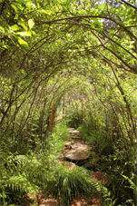 sentier d&eacute;couvertes