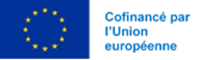Fond social européen (FSE)