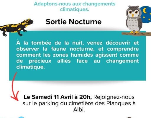 [Défi Eau] Balade Nocturne – Albi 11-04-2026